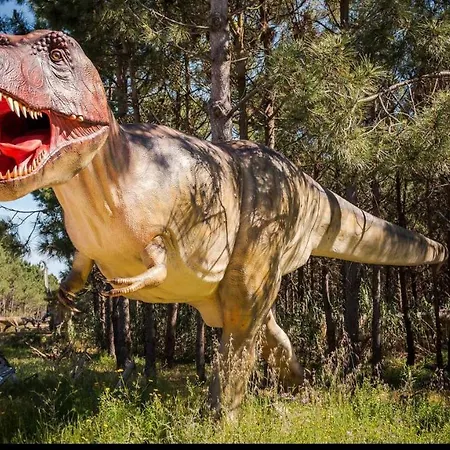 Apartamento By The Da Areia Branca Lourinhã